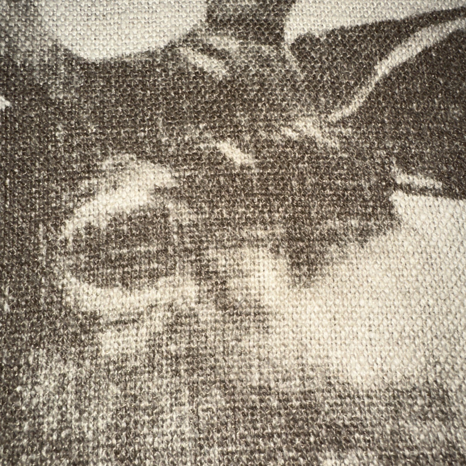 Picture 6 of 16