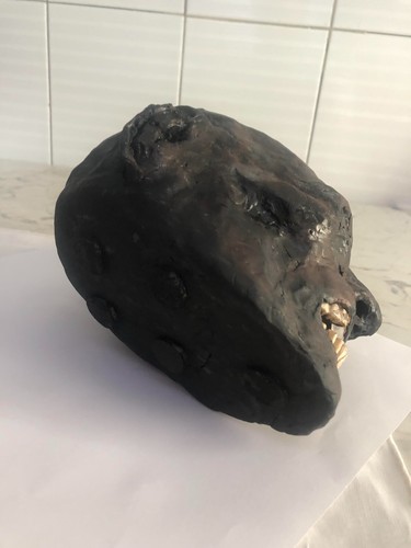 TESTA MUMMIFICATA EGIZIA '' PRINCIPE PENTAUR '' CRANIO TASSIDERMIA SCALA 1/1 - Foto 7 di 7