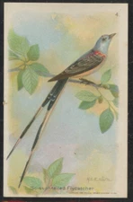 1938 Arm & Hammer Useful Birds of America 8th Series #4 Scissortailed Flycatcher