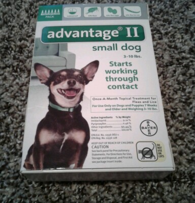 advantage 11 small dog