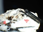 Bild 1 von 7