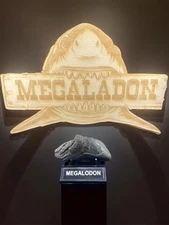 4.6 INCH REAL MEGALODON SHARK TOOTH REAL - WITH STAND 📦MEG
