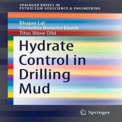 Hydrate Control in Drilling Mud Bhajan Lal Paperback Springer Nat