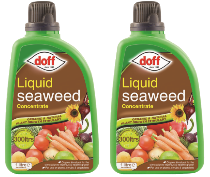 2x Doff Organic Liquid Seaweed Growth Plant Feed Fertiliser Concentrate 1L