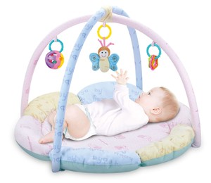 butterfly play gym
