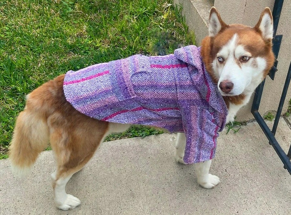 Moletom com capuz Baja para cachorro - Poncho colorido para cachorro - tamanho: GRANDE - Imagem 3 de 4