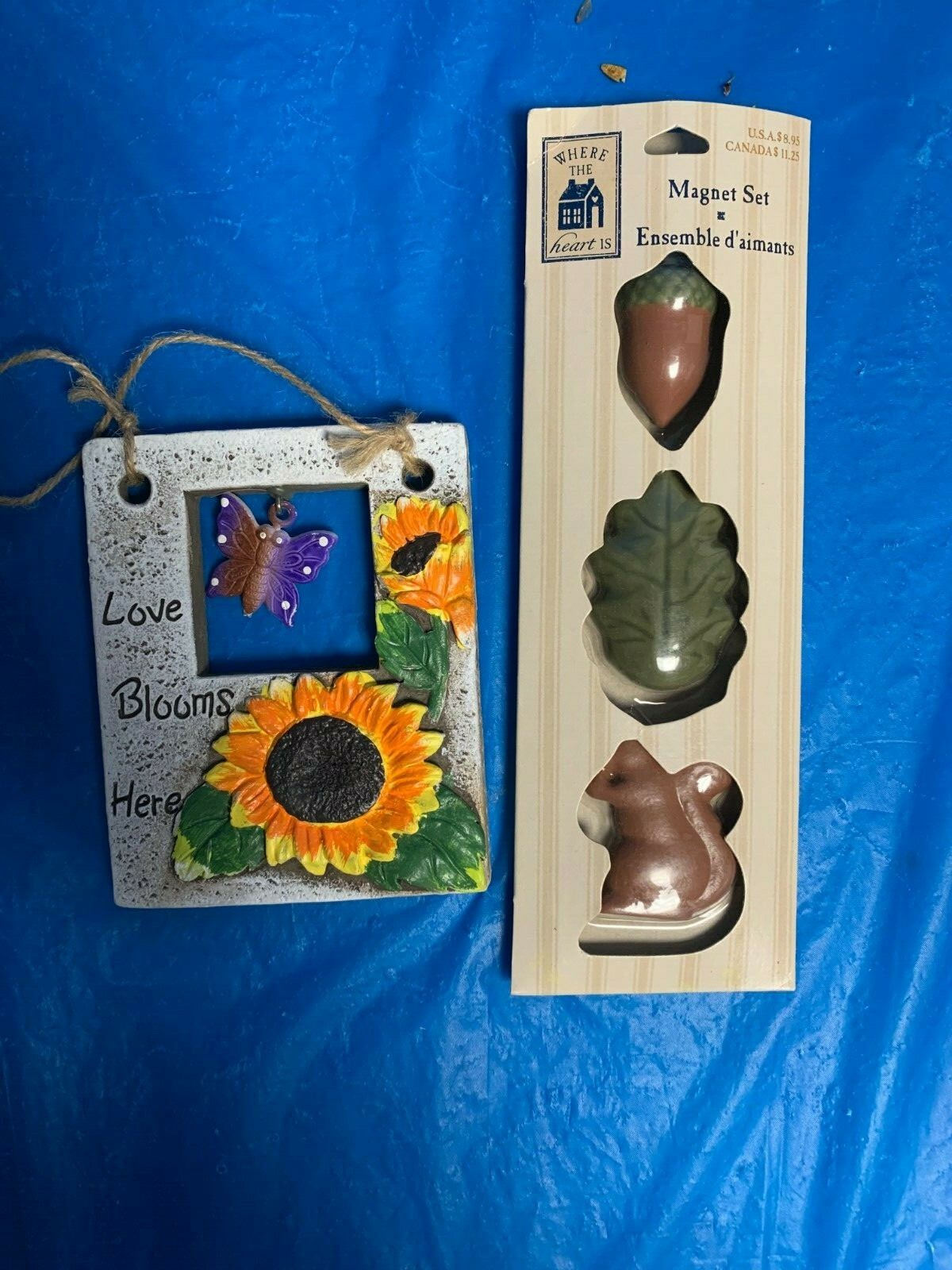 Foto 2 di 11