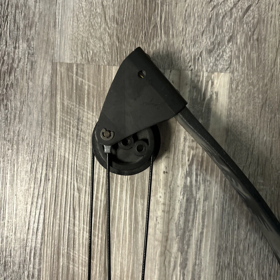 Oso Sol Tiro con Arco Vintage Foto 4 de 4