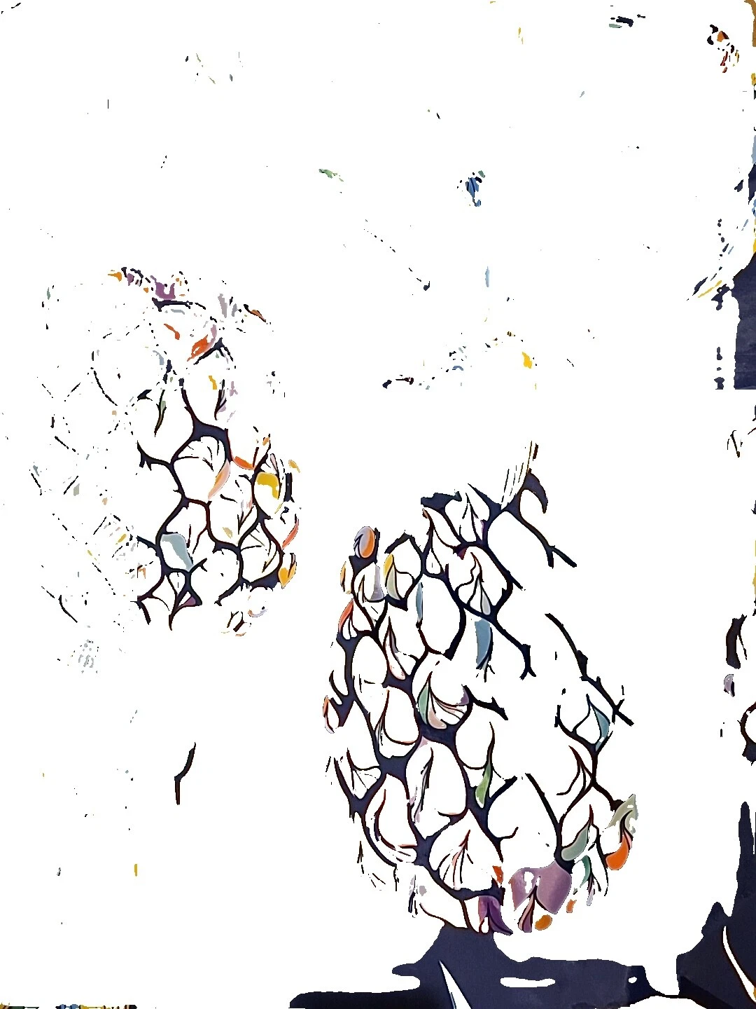 Cortinas de Ducha Caribbean Joe