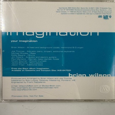Brian Wilson – Your Imagination CD Single 1998 Promo Pop Rock
