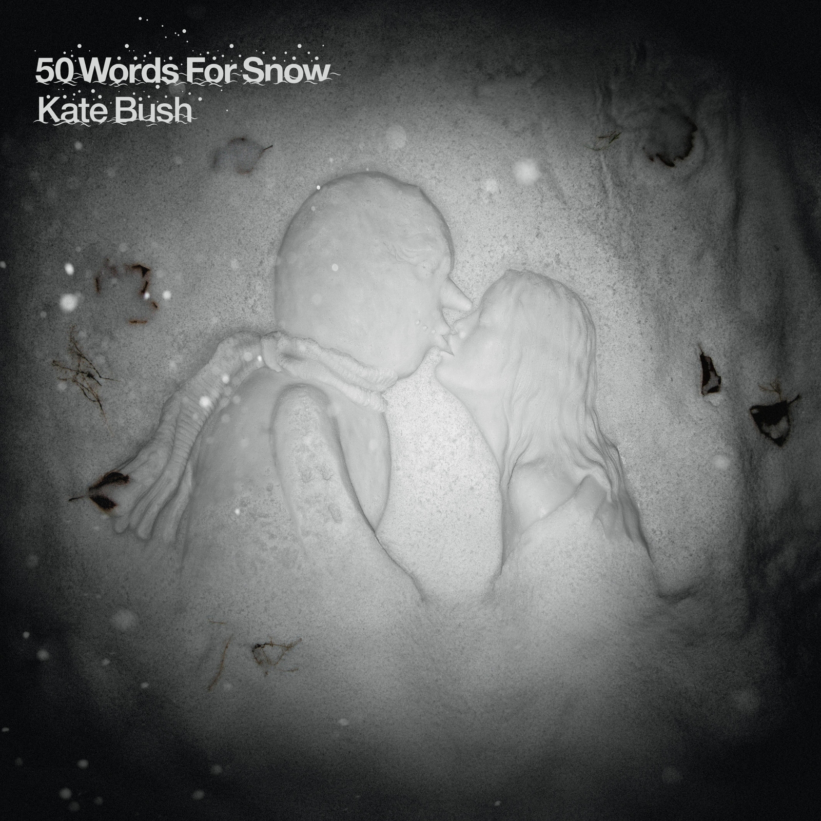 Kate Bush 50 Words for Snow (CD) Album