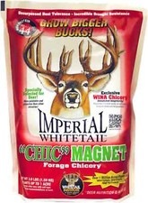 3lb Whitetail Institute Imperial "Chic" Magnet Forage Chicory Food Plot Deer