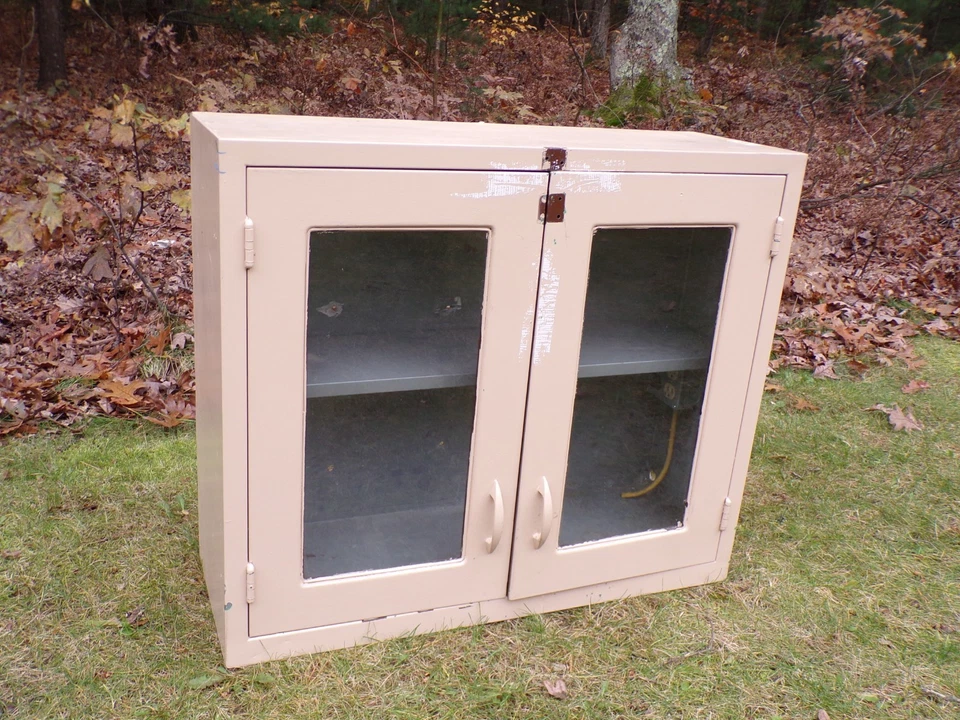 Gabinete de pared vintage de vidrio y metal para boticario dental de mediados de siglo  Foto 3 de 4