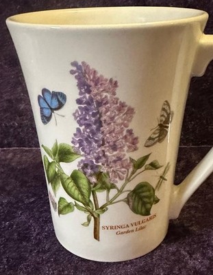 Garten Flieder Becher Syringa Vulgaris Botanisch Schmetterling Blumen Groß Latte Stil