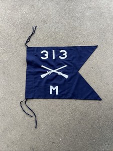 1970s US Army 313th Infantry Guidon M Company (KB