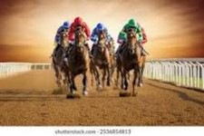 The Full Time Horse Racing Income System