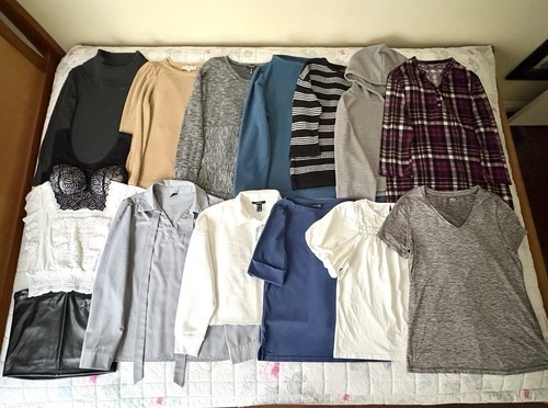 Huge Women’s Clothing Lot Tops Blouse Sweater J. Crew Lauren Ralph LOFT Large