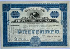 Historische Aktie - Fruit of the Loom - USA 1941 - 5 Shares
