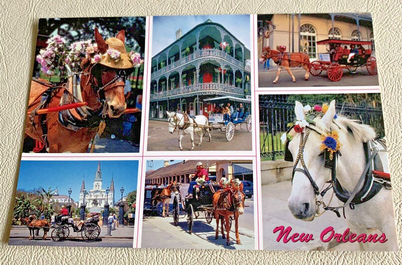 NEW ORLEANS BUGGY RIDE POSTCARD.  VINTAGE.  PRE-OWNED.