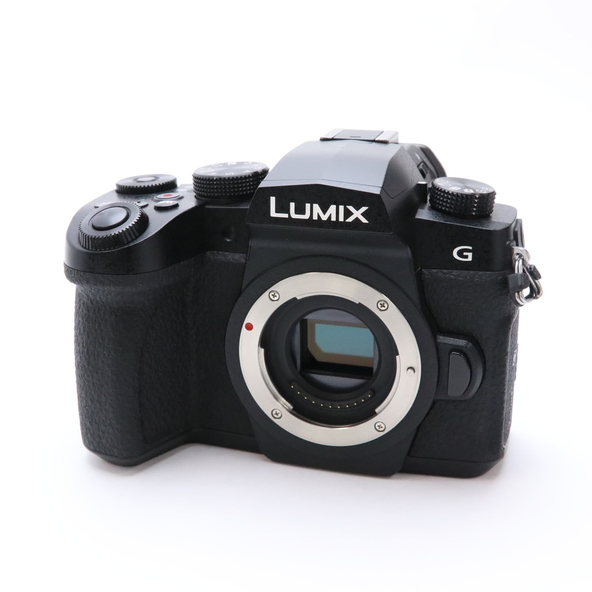 Panasonic LUMIX DC-G99 Body (DC-G95 Japan ver.) #231