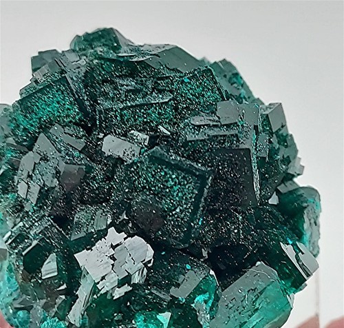 Dioptase, Reneville Mine, Pool Department, Republic of Congo, #dio26 - Picture 4 of 5
