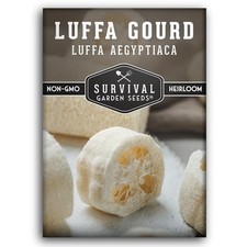 - Luffa or Loofah Seed for Planting - Packet with Instructions to Plant and 1