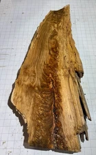 U15 Spalted Feather Crotch  Live  Edge Slab Birds Eye , Curly 31”x13”x1.75