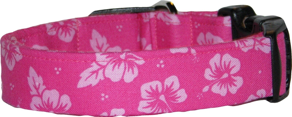 Hibiscus clearance dog collar