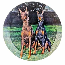 Coaster Companion Doberman Pinschers Dog Absorbent Coasters Animal Lovers