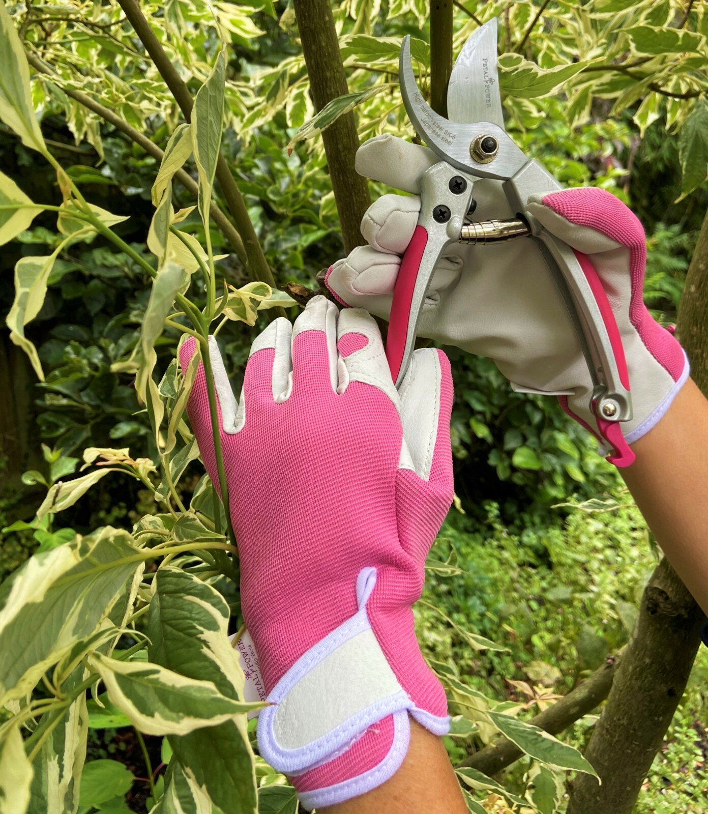 Ladies Gardening Gloves & Secateurs Set Perfect Garden Gift for Women