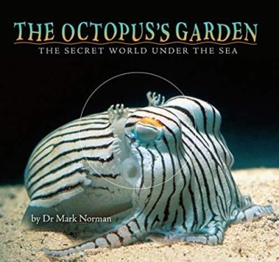 The Octopus's Garden Mark Norman