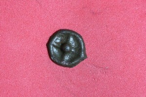 ANCIENT ISTROS BLACK SEA REGION 5TH-4TH CENTURY BC 4 SPOKED WHEEL #K51605