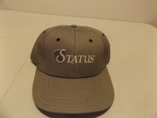 Vintage--STATUS, BASF-The Chemical Company, Brown, Cap Adjustable Strap Back
