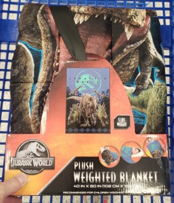 JURASSIC World T-REX DINOSAUR WEIGHTED Plush BLANKET Pound WT New 