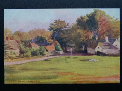 Hampshire New Forest SCHWAN GRÜNER LYNDHURST W.Tyndale um 1904 Postkarte