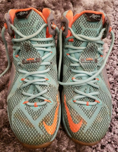 lebron 12 nsrl price