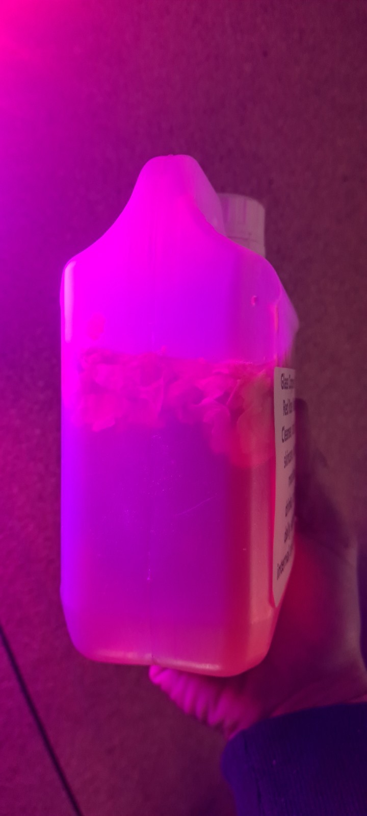 1L pH 5.7  Rose Water for Skin Cleansing, Toning, Moisturising Bulk trade salon image 5