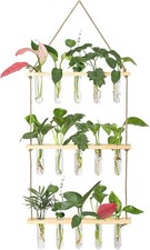 Wall Hanging Propagation Station W/ Wooden Stand 5 Glass Test Tubes 3 Tiers