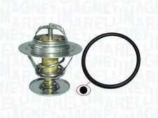 Thermostat Ford P 100