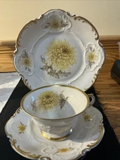 Hutschenreuther Selb Bavaria Germany LHS Yellow Chysanthimum Trio Tea Cup Saucer