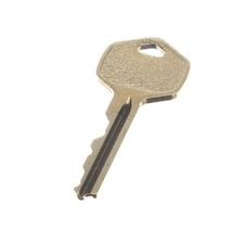 EXT KEY FOR HANDLE 1191142 168983 - Genuine OEM Replacement Part