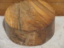 8X3  MISSOURI  SPALTED WATER OAK CROTCH TURNING WOOD BOWL BLANK