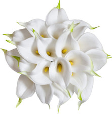 20Pcs Real Touch Calla Lily Flowers for DIY Wedding  Home Decor - White-Yellow