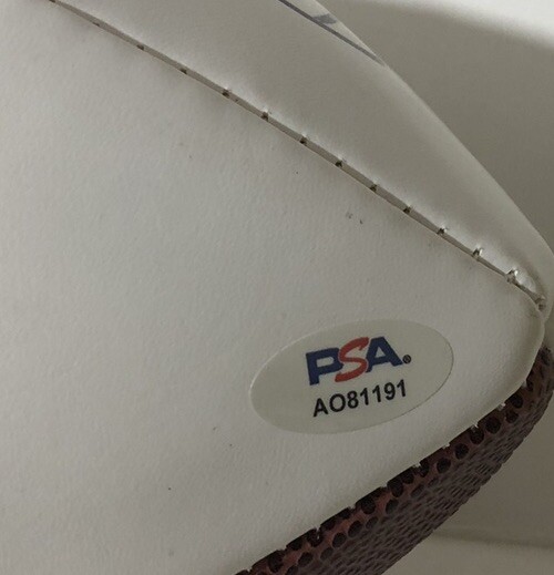 PJ P.J. FLECK SIGNED AUTOGRAPHED LOGO FOOTBALL MINNESOTA GOLDEN GOPHERS ...