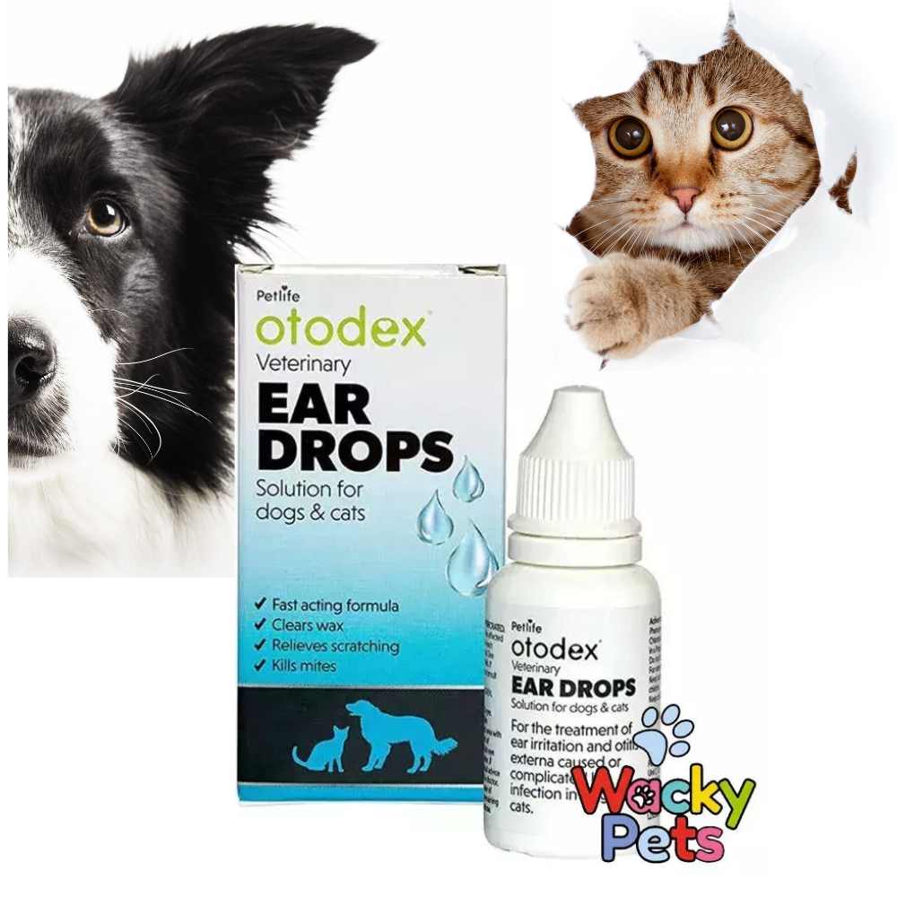 DOG CAT EAR DROPS Otodex Kills Mites, Clears FAST  ACTING