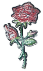 Afbeelding 2 van 3