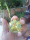 Vintage Art Glass Single Flower Paperweight. Floral. — photo 4