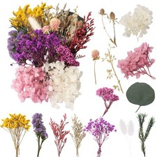 Trockenblumen Set DIY Basteln Kunst Handwerk Scrapbooking Heimdekoration Stil 3