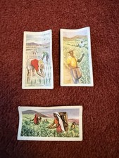 1957 Edwards Products of the World Trade Cards - Rice, Tea, Coffee Vintage G-VG