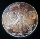 2007 Walking Liberty American Eagle Dollar Coin, 1oz .999 Fine Beautiful Toning